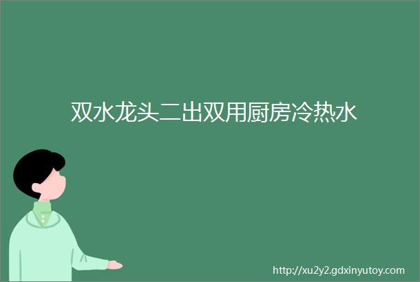 双水龙头二出双用厨房冷热水