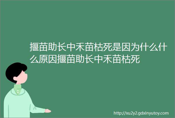 揠苗助长中禾苗枯死是因为什么什么原因揠苗助长中禾苗枯死