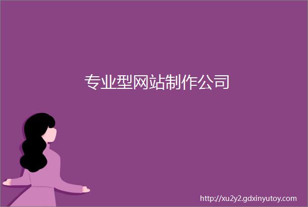 专业型网站制作公司