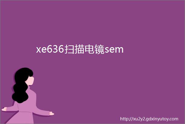 xe636扫描电镜sem