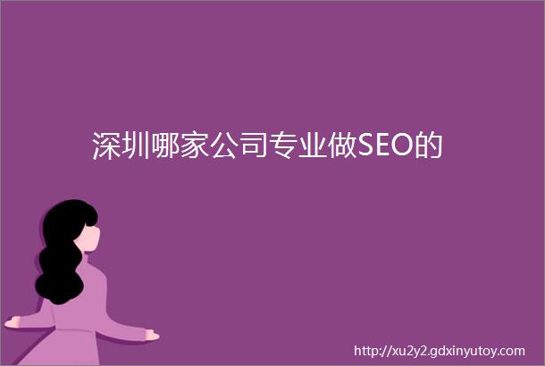 深圳哪家公司专业做SEO的