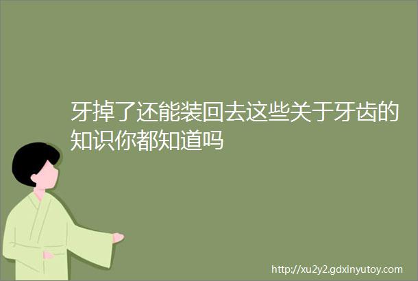 牙掉了还能装回去这些关于牙齿的知识你都知道吗