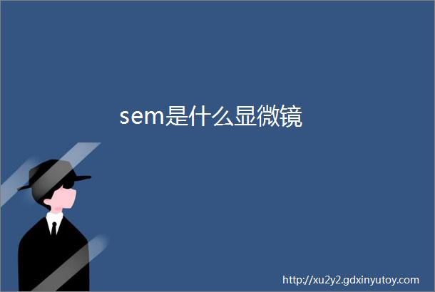 sem是什么显微镜