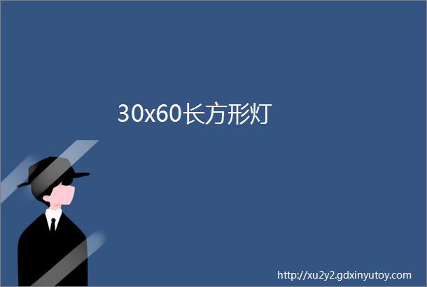 30x60长方形灯