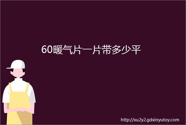 60暖气片一片带多少平