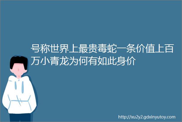 号称世界上最贵毒蛇一条价值上百万小青龙为何有如此身价