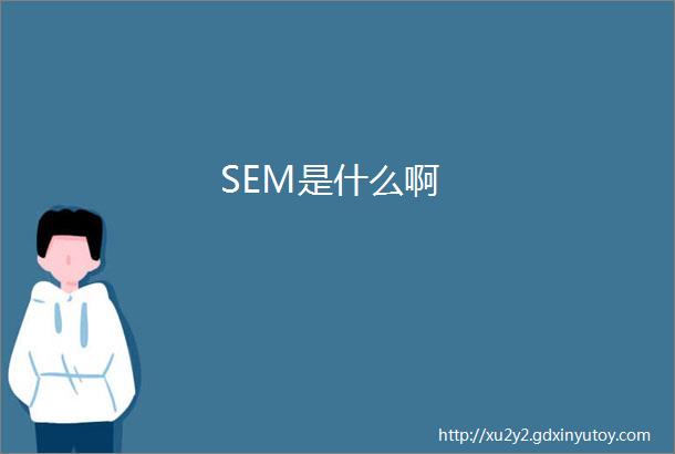 SEM是什么啊