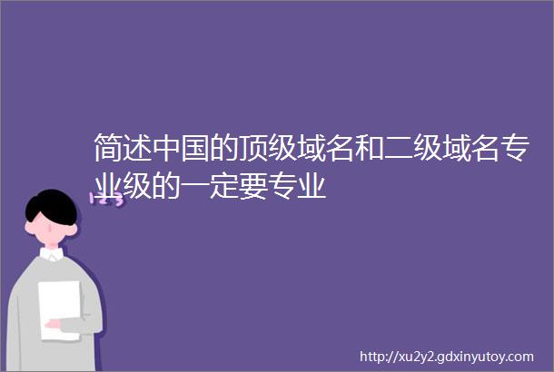 简述中国的顶级域名和二级域名专业级的一定要专业