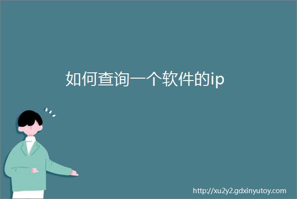 如何查询一个软件的ip