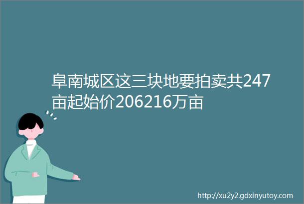 阜南城区这三块地要拍卖共247亩起始价206216万亩